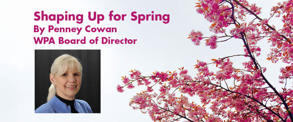 Shaping Up for Spring